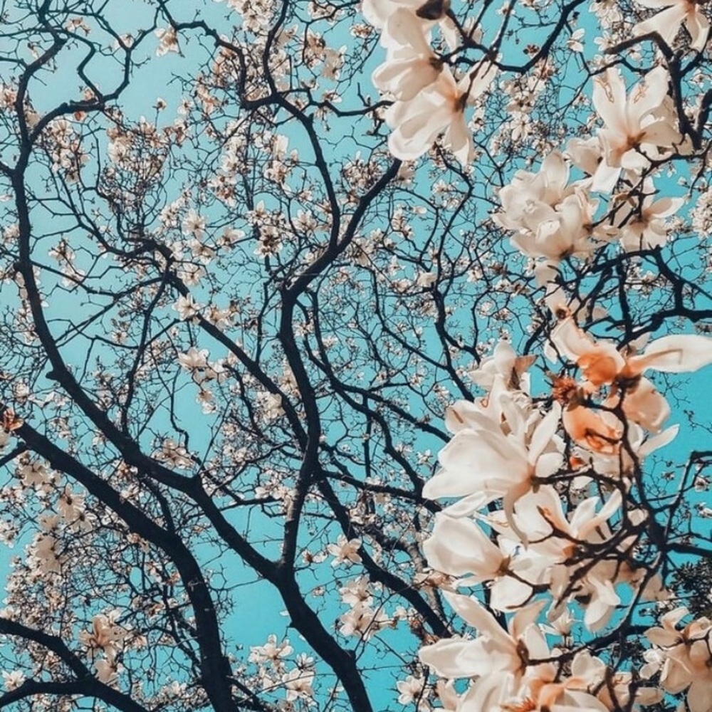 Meet your Posher, Payton